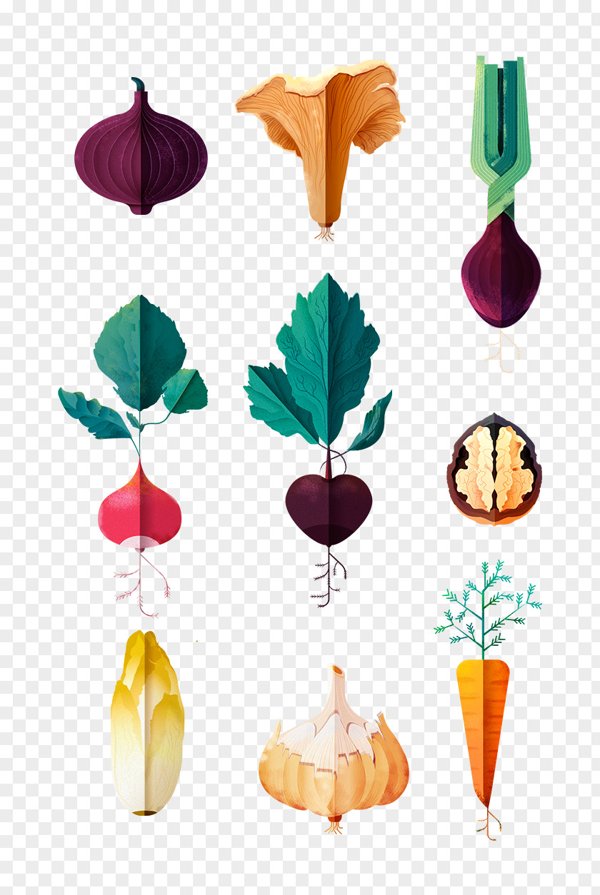 Vegetable Illustration Behance Illustrator Art PNG
