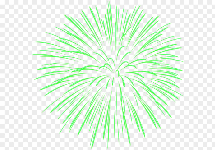 Fireworks Color Clip Art PNG