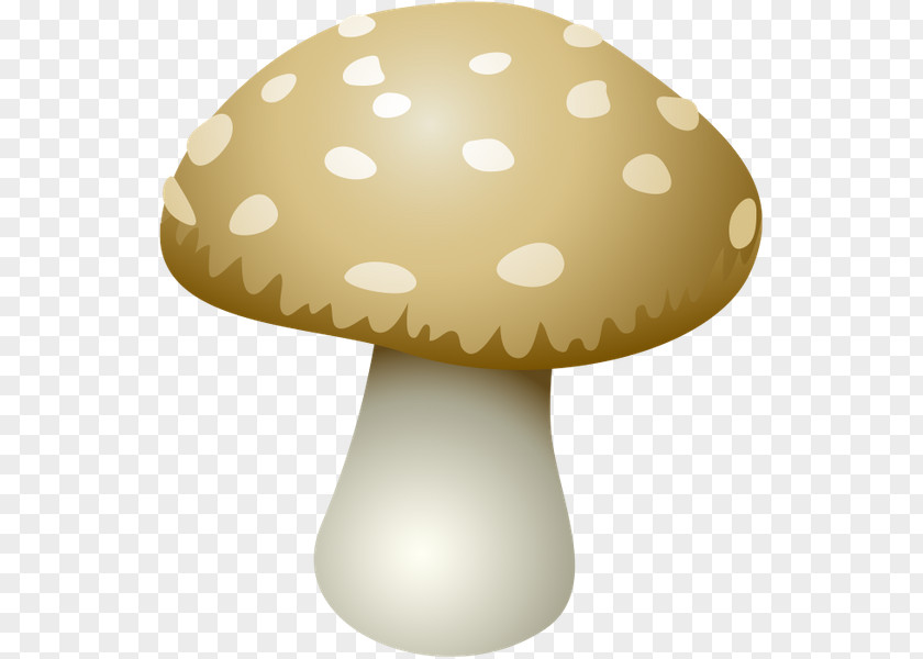 Mushroom Shiitake Clip Art PNG