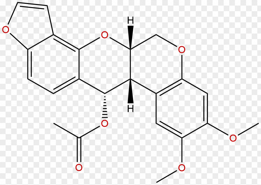 Phytochemicals Coelenterazine Selective Serotonin Reuptake Inhibitor Somatic Embryogenesis Alkaloid Paroxetine PNG