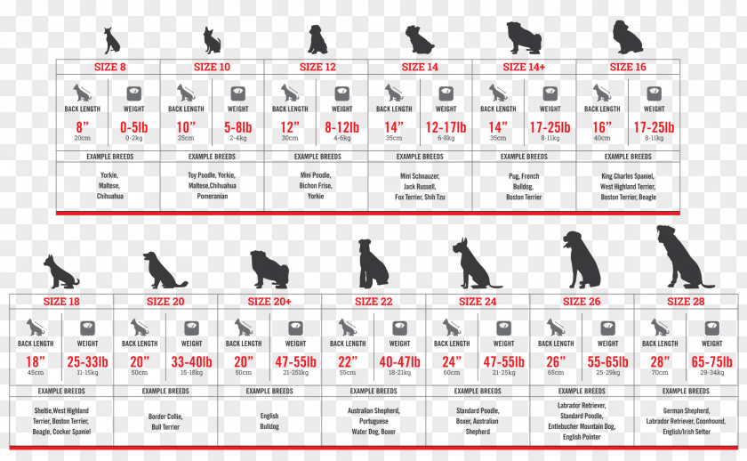 Size Chart Boxer Gilets Canada Clothing Jacket PNG