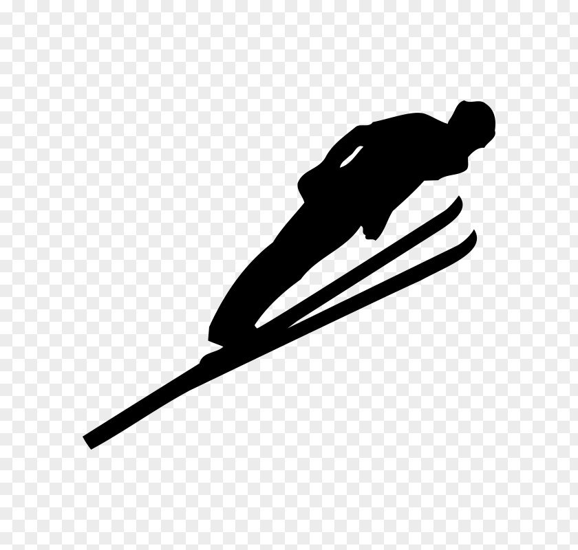 Skiing Ski Jumping Freestyle Winter Olympic Games Sport PNG
