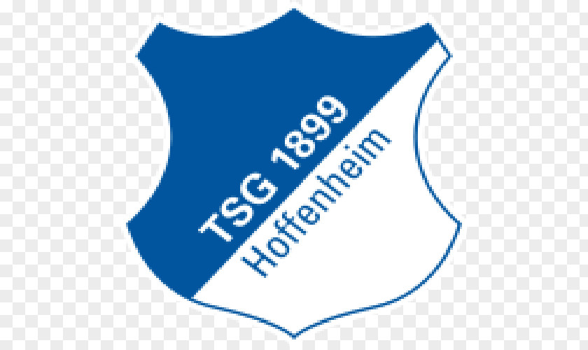 TSG 1899 Hoffenheim Logo Bundesliga Emblem PNG