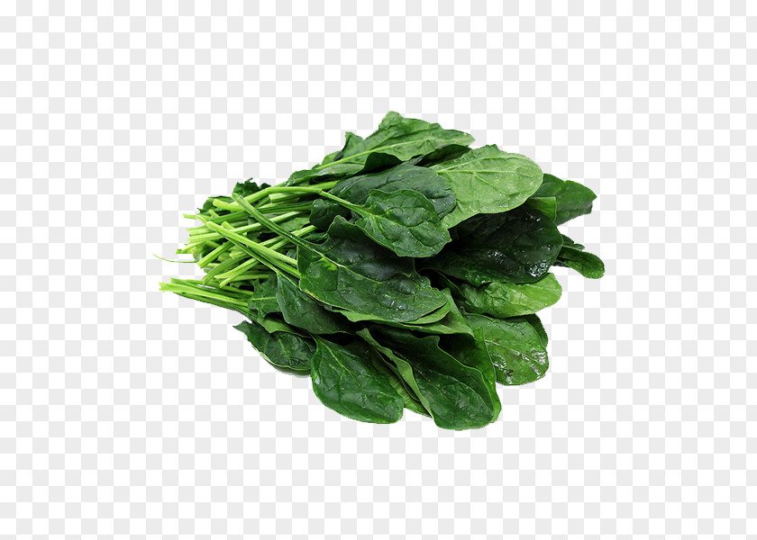 Vegetable Palak Paneer Spinach Lasagne PNG
