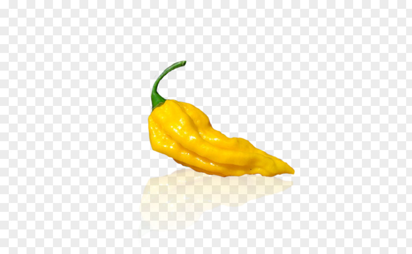 Chili Peppers Pepper Trinidad Moruga Scorpion Scotch Bonnet Habanero Bhut Jolokia PNG