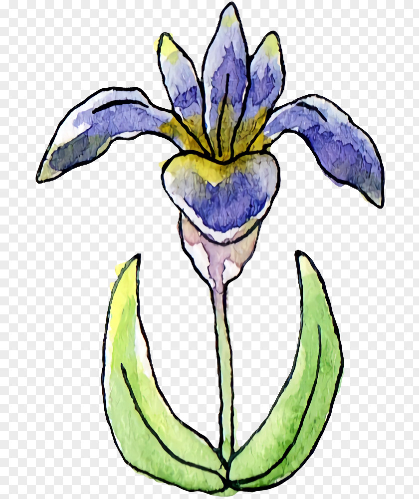 Floral Design PNG