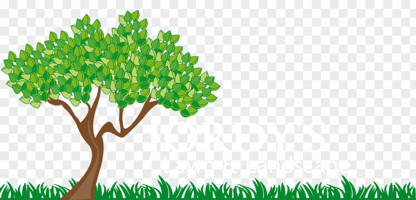 Landscape Animation Tree Branch Trunk Clip Art PNG