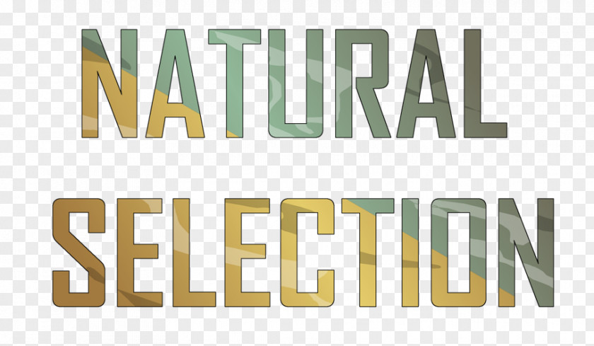 Natural Selection Business Real Estate Service Advertising GP Color Imaging Group PNG