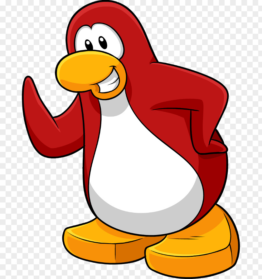 Penguin Club Southern Rockhopper Bird PNG