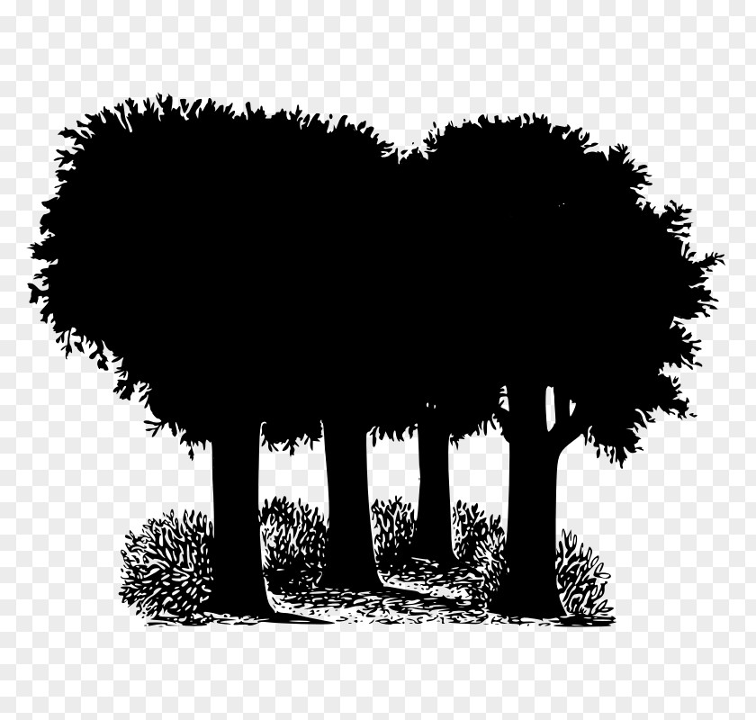 Tree Oak Forest Image Vector Graphics PNG