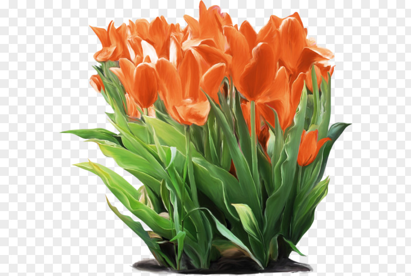 Tulip Floral Design Vase Cut Flowers PNG