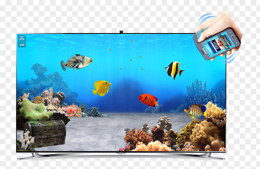 3D Ocean Fish Tank Games AndroidAquarium Aquarium Game PNG