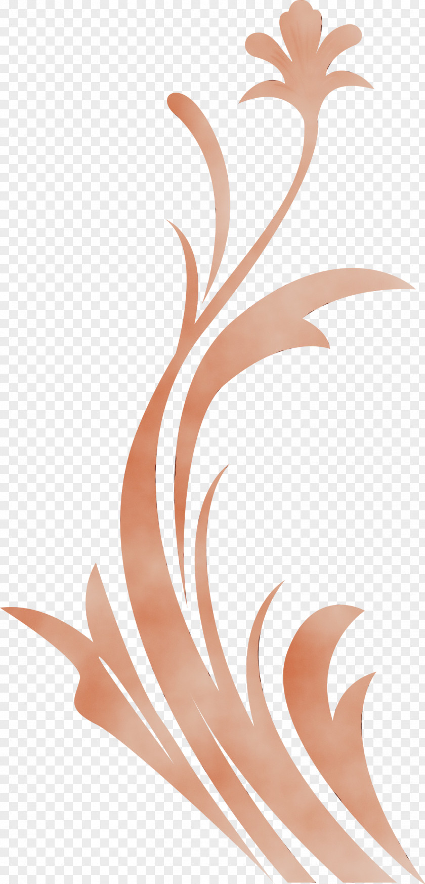 Brown Peach Plant PNG