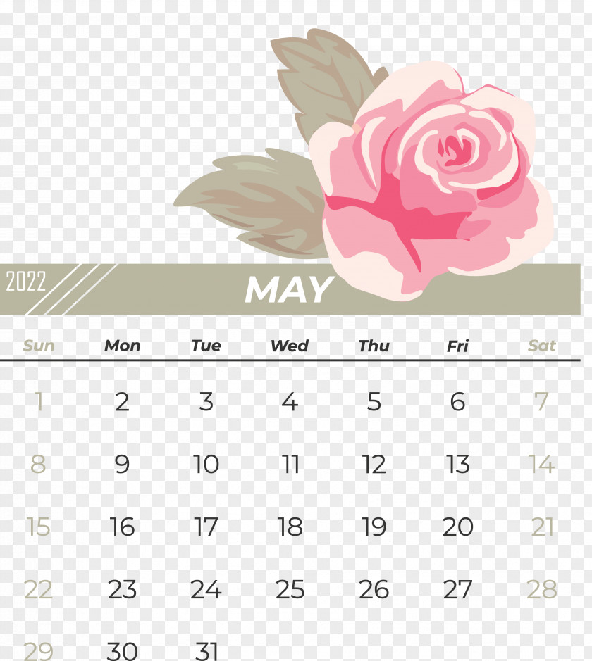 Calendar Font Pink M Petal Meter PNG