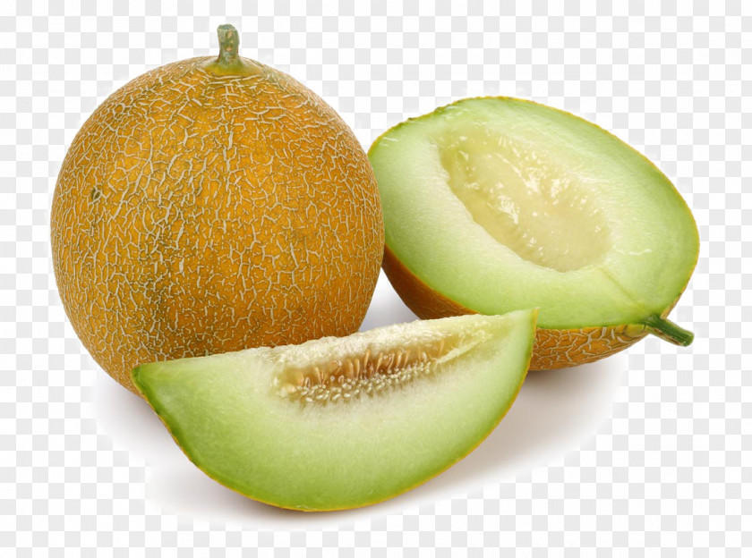 Cantaloupe Melon And Slice Honeydew Hami Galia PNG