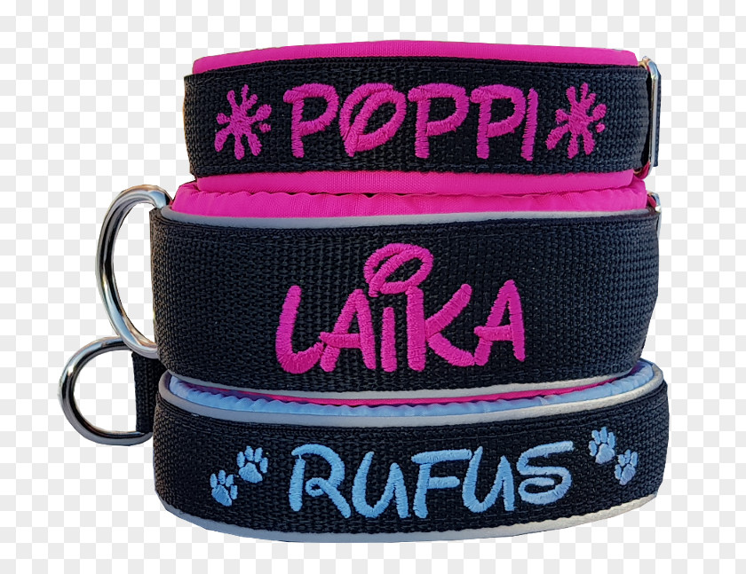 Dog Leash Collar Strap PNG