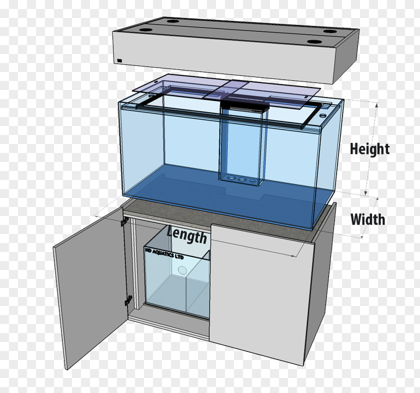 Glass Tank Reef Aquarium Tropical Aquariums ND Aquatics Ltd Freshwater Stingrays PNG