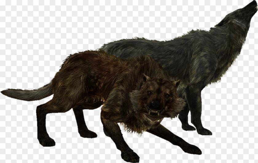 Wolf The Elder Scrolls V: Skyrim U2013 Dragonborn Oblivion Gray Mod PNG
