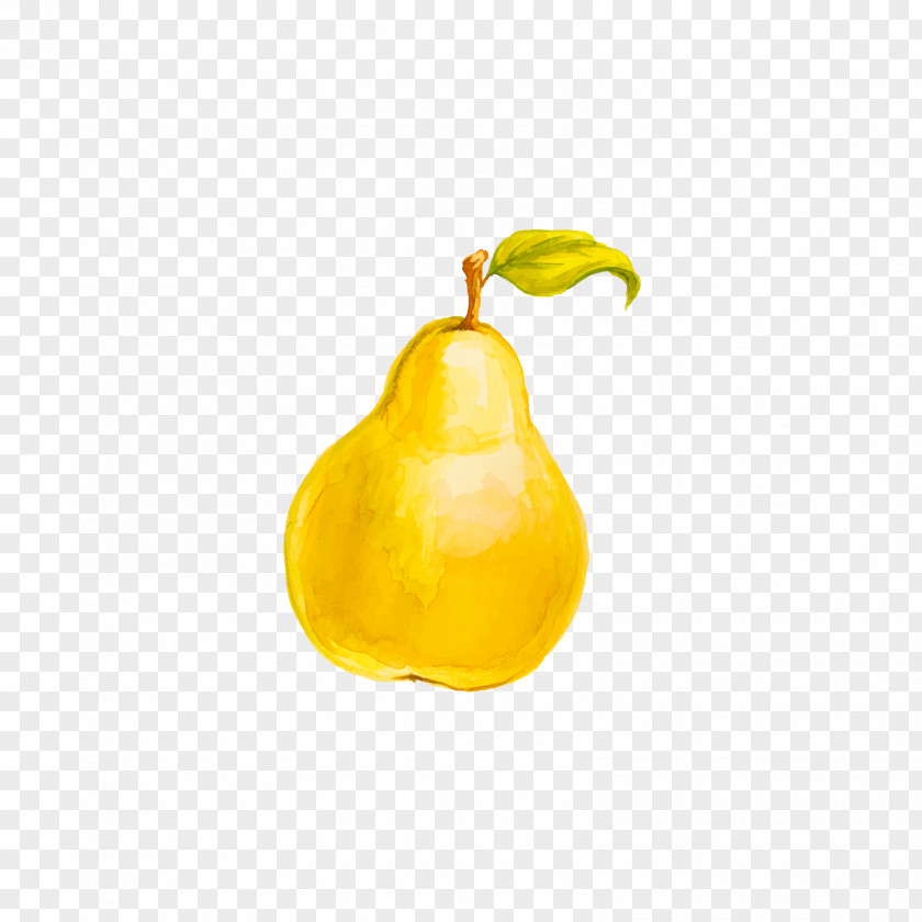 Yellow Pear Lemon Tomato PNG