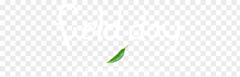 Field Day Leaf Close-up Plant Stem Sky Plc Font PNG