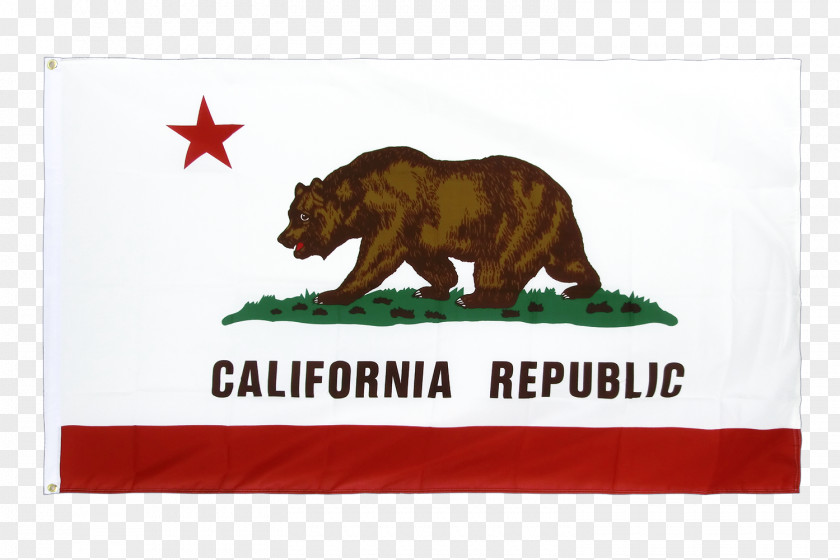 Flag California Republic Of National PNG