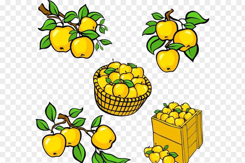Fresh Apples Are Packed In Bamboo Frames Clip Art PNG