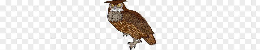 Horned Owl Cliparts Great Bird Of Prey Clip Art PNG