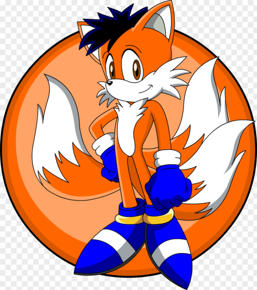 Measure Height Sonic The Hedgehog Fox Animation DeviantArt PNG