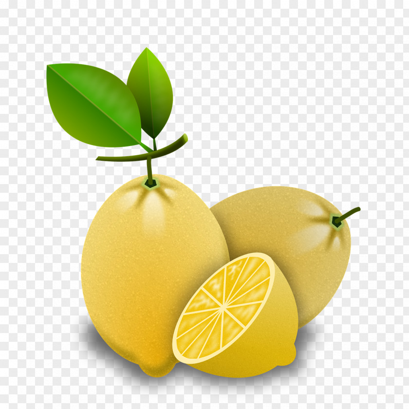Lemon Key Lime Image Persian PNG