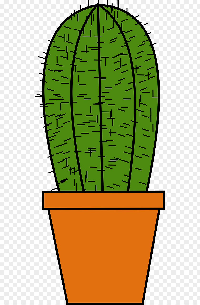 Prickly Vector Cactaceae Drawing Clip Art PNG