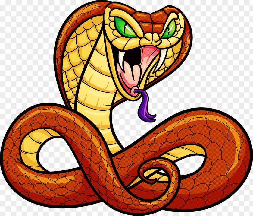 Serpent Snake Reptile Scaled Elapidae PNG