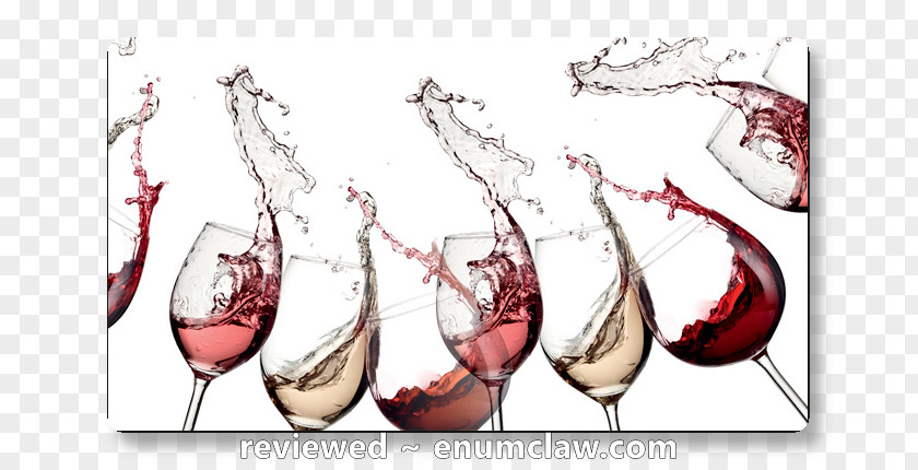 Wine Tasting Restaurant Drink Glass PNG
