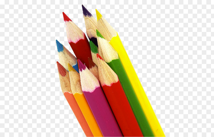 Art Supplies Colored Pencil Drawing Desktop Wallpaper PNG