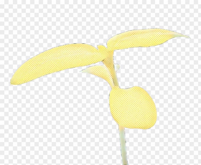 Arum Family Tulip Banana Cartoon PNG