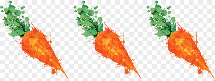 Carrot Juice Vegetable Romanesco Broccoli PNG