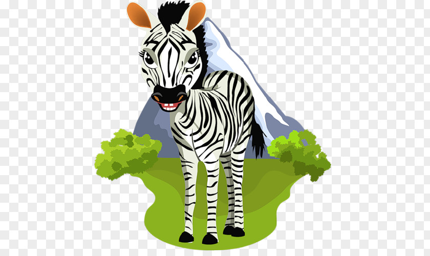 Cartoon Zebra Lion Drawing Clip Art PNG