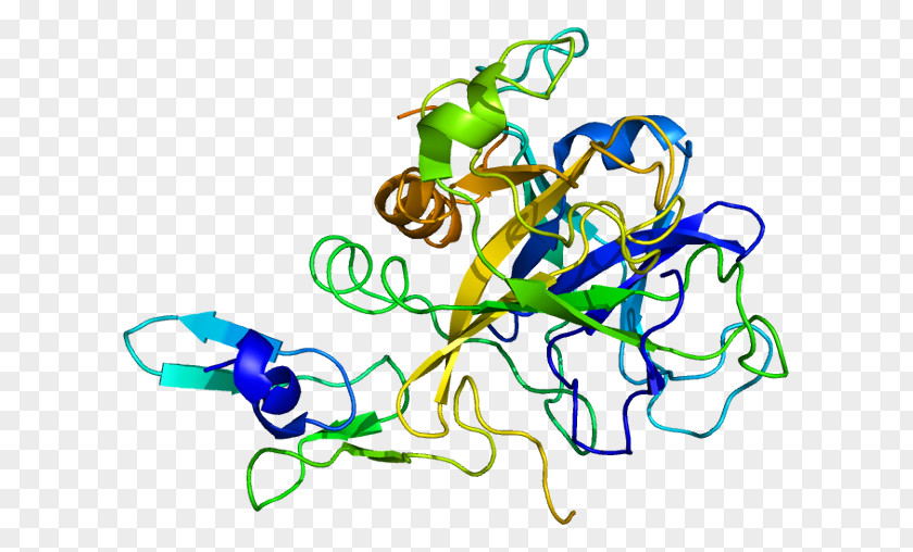 Factor X Deficiency Coagulation Enzyme IX PNG