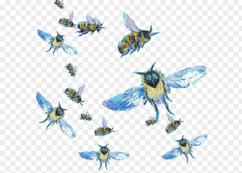 Jan Honey Bee Butterfly 2M PNG