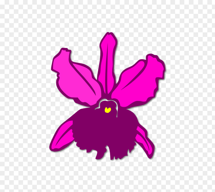 Orchids Flowering Plant Violet Purple Magenta Lilac PNG