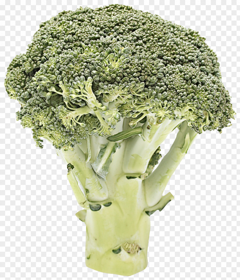 Cauliflower PNG