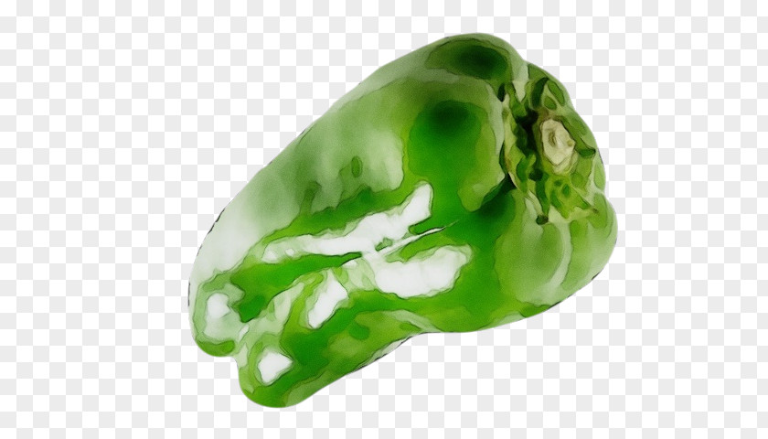Fashion Accessory Capsicum Bell Pepper Green Vegetable Pimiento PNG