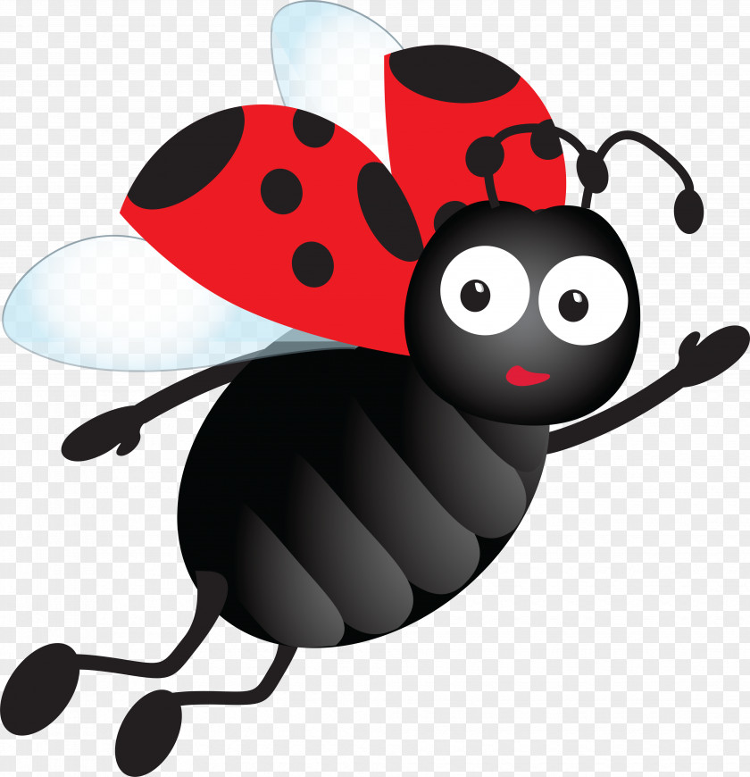 Flying Insects Ladybird Ipswich Beetle Clip Art PNG