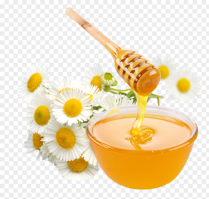 Honey Bee Food Toast Sugar PNG