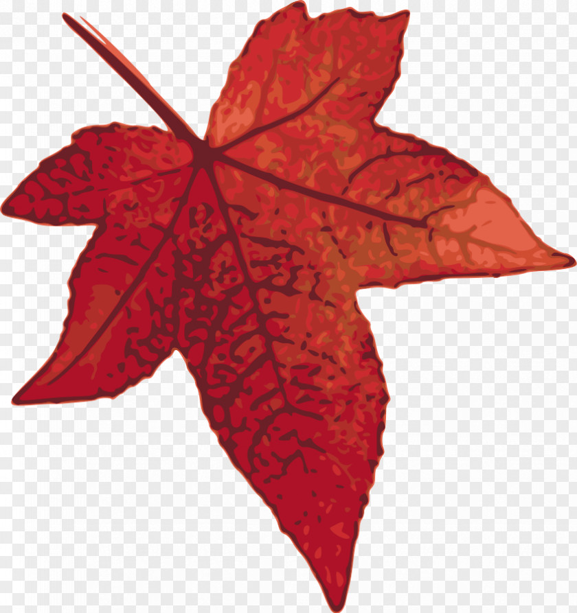 Maples Cliparts Canada Red Maple Leaf Clip Art PNG