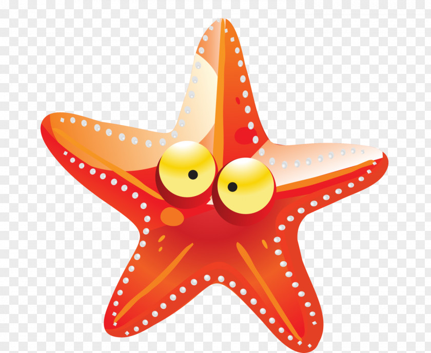 Orange Cartoon Starfish Drawing PNG