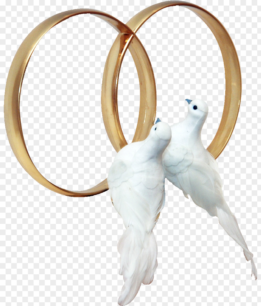 Swan Al Oyun Wedding PNG