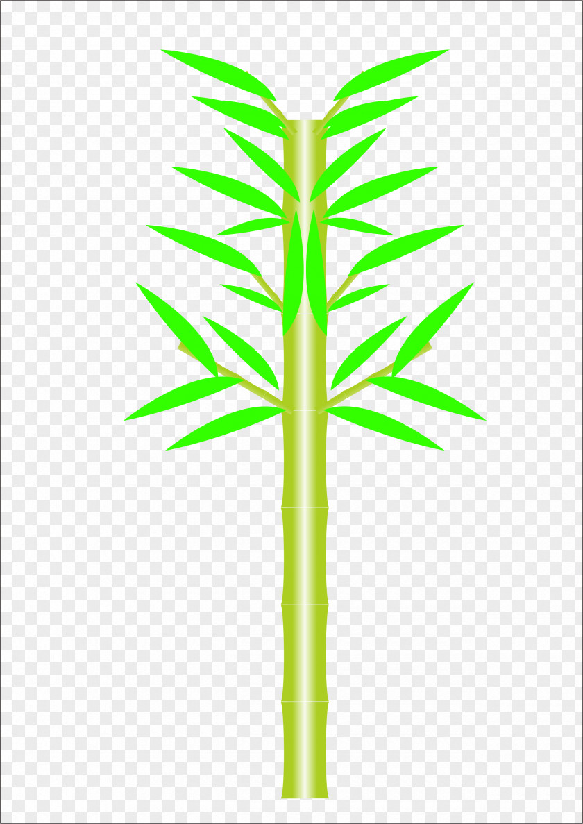 Vector Bamboo Material PNG