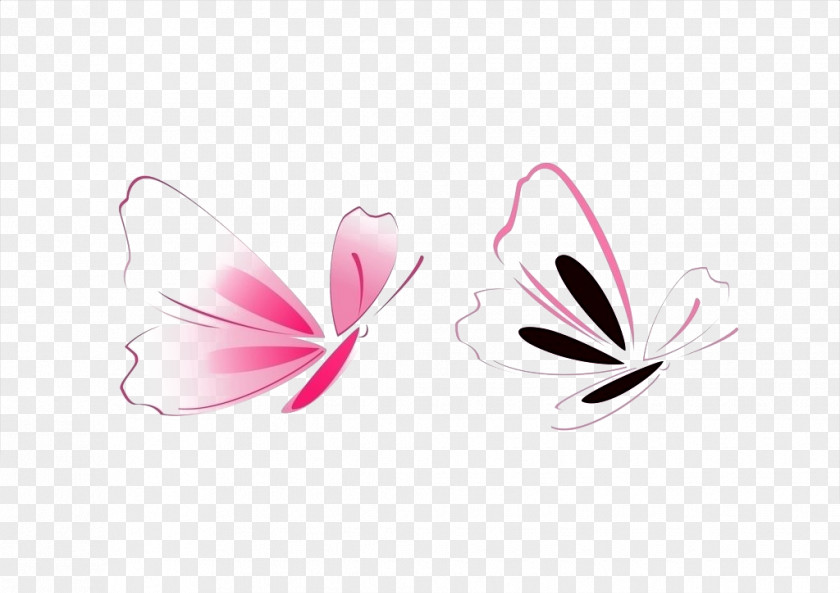 Butterfly Pictures Pink PNG