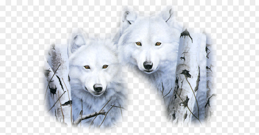 Christmas New Year's Day Gray Wolf Eve Wicca PNG
