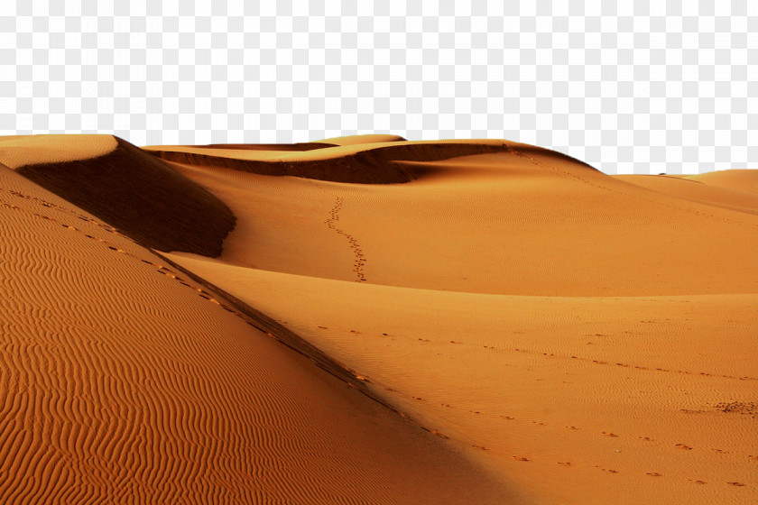 Desert Sahara Erg Continent Sand PNG